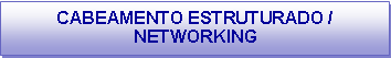 Caixa de texto: CABEAMENTO ESTRUTURADO / NETWORKING